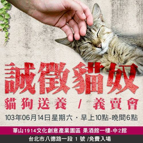 6月14日星期六…貓咪送養義賣會_圖1