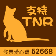 【流浪貓TNR協會志工故事】水果妹─黃意如_圖7