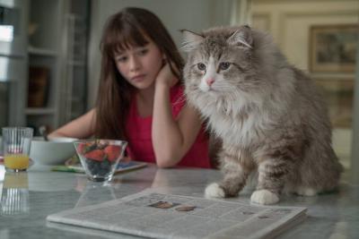 療癒系寵物電影《我的老爸喵星人》，逗趣貓咪一掃工作壓力！