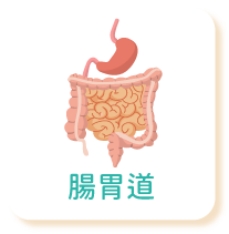 腸胃道