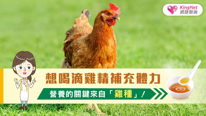 想喝滴雞精補充體力，營養的關鍵來自「雞種」！_圖1