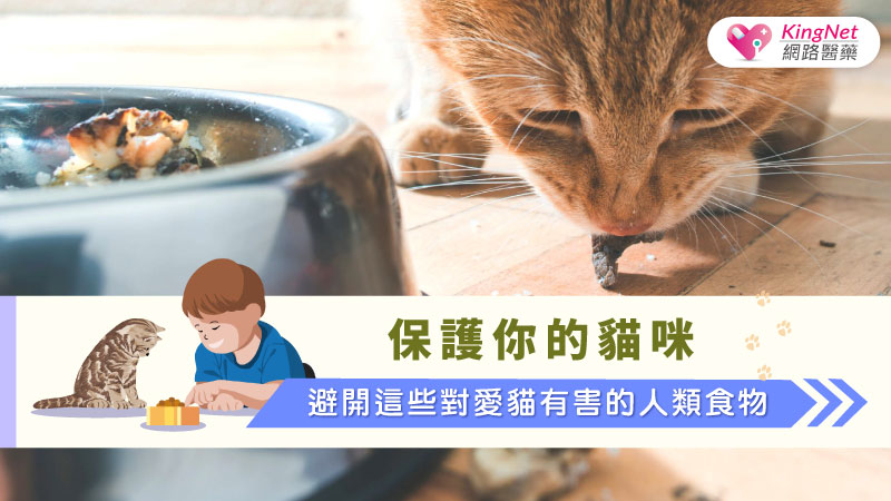 保護你的貓咪：避開這些對愛貓有害的人類食物_圖1