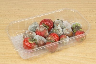 夏季高溫炎熱,記得食品中毒自保5要訣