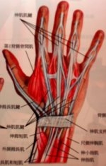 媽媽手的預防與治療