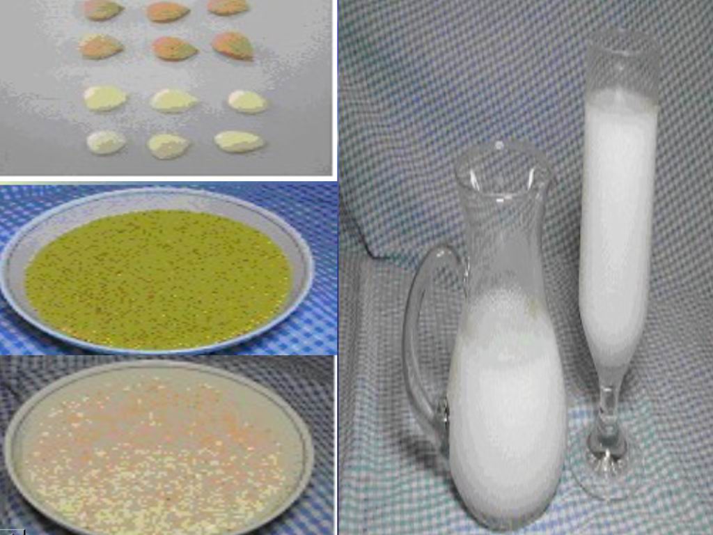 禽流感免驚! 藥膳食療預防禽流感有一套_圖2