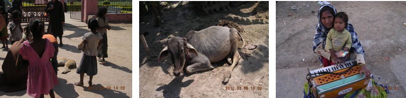 即使一無所有，仍然心存感激_圖6