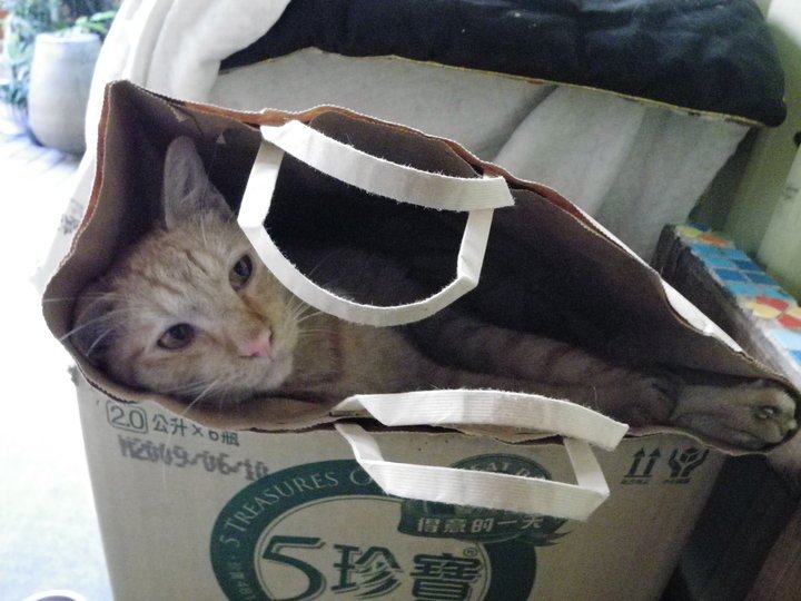 每日一智(69)：做善事也要有方法_圖1