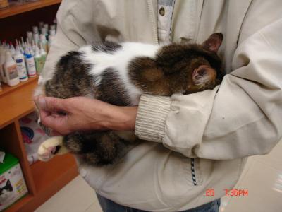 我會變美的…你能愛我嗎？