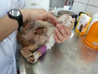 幫助他- -益舉多得。捐醫藥費- -送超值贈品。_圖6