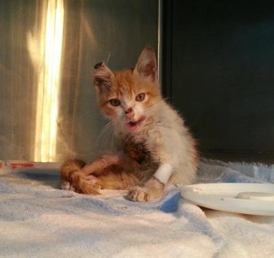 幫助他- -益舉多得。捐醫藥費- -送超值贈品。