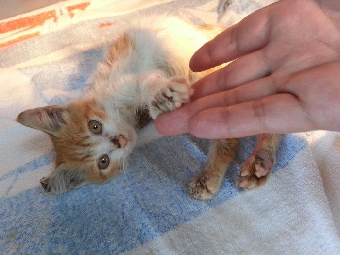 幫助他- -益舉多得。捐醫藥費- -送超值贈品。_圖2