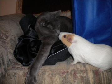 2014 情人節快樂！_圖9