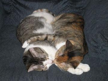 2014 情人節快樂！_圖10