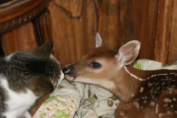 2014 情人節快樂！_圖11