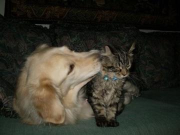 2014 情人節快樂！_圖12