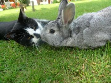 2014 情人節快樂！_圖13