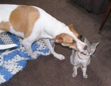 2014 情人節快樂！_圖3