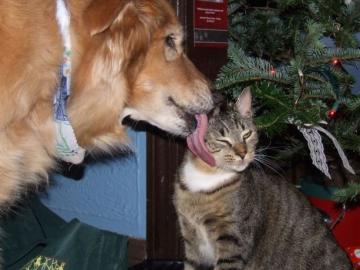 2014 情人節快樂！_圖5