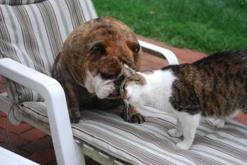 2014 情人節快樂！_圖8