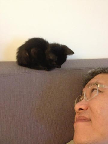 養寵物可以改善健康_圖5