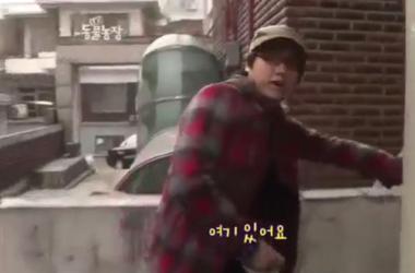 貓媽吃塑膠裹腹致死…小貓守著死去的母親_圖2