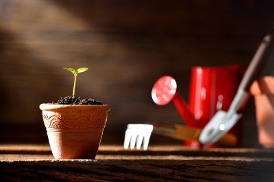 茶包泡完不要丟！10個生活妙用_圖5