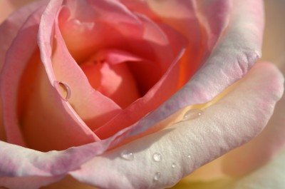 快速消除黑眼圈的方法_圖5