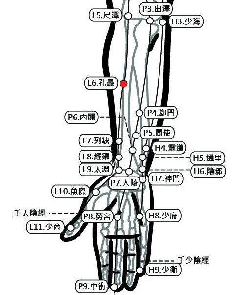 穴位保健─孔最穴（讓你久坐不生痔）_圖1