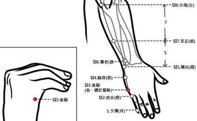 穴位保健─後谿穴（脊椎保健好穴位）