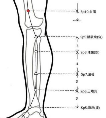 穴位保健─血海穴（調氣血好氣色）