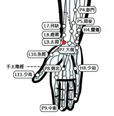 穴位保健─太淵穴（通喉消腫不咳嗽）