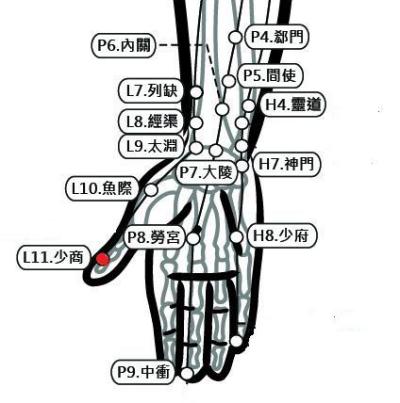 穴位保健─少商穴（消除喉痛急救穴）