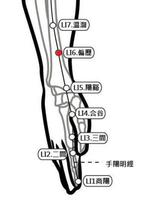 穴位保健─偏歷穴（消水腫防耳鳴）