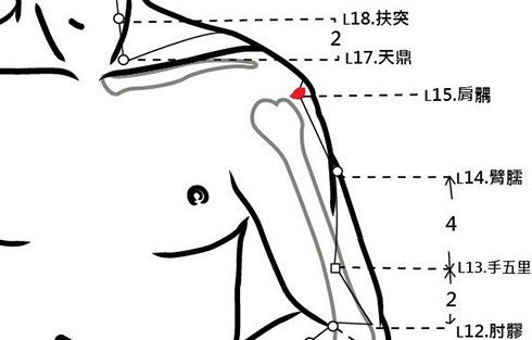 穴位保健─肩髃穴（五十肩的預防）_圖1