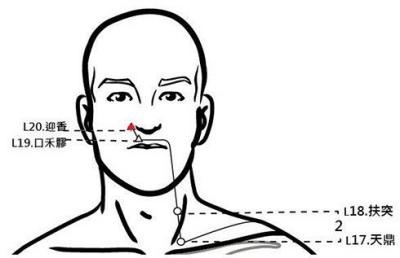 穴位保健─迎香穴（鼻子過敏不聞香臭）