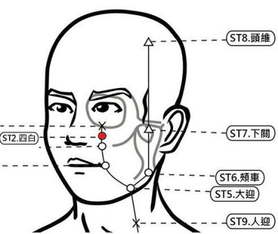 穴位保健─四白穴（消除黑眼圈增強視力）