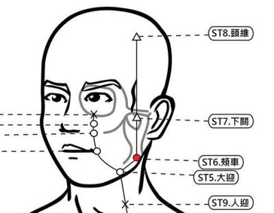 穴位保健─頰車穴（小臉按摩，除牙痛保健康）