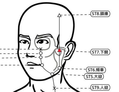 穴位保健─下關穴（除皺紋增耳力消牙痛）