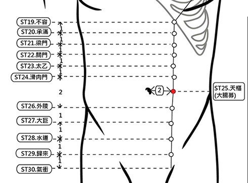 穴位保健─天樞穴（不再大腹便便讓你好腸胃）_圖1