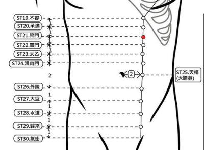 穴位保健─梁門穴（改善交際應酬族的副產品-胃炎）