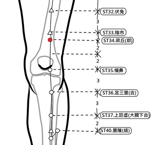 穴位保健─梁丘（消除莫名的急性腹痛）_圖1