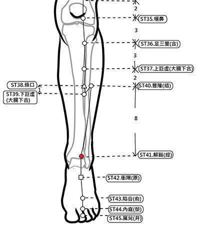 穴位保健─解谿穴（醒腦提神 止胃火牙疼）_圖1