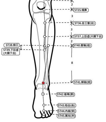 穴位保健─解谿穴（醒腦提神 止胃火牙疼）