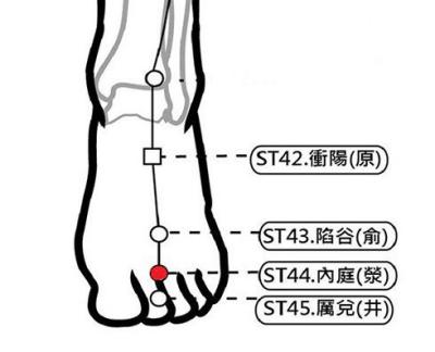 穴位保健─內庭穴（消除胃火抑食慾）