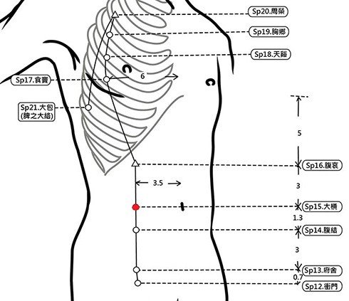穴位保健─大橫穴（排宿便整腸道）_圖1