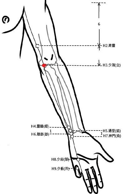 穴位保健─少海穴（肘疼胃痛調心腎）_圖1