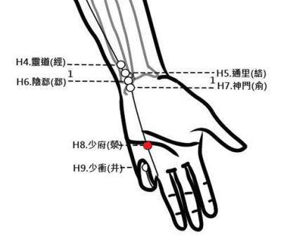 穴位保健─少府穴（去心火毒解溼熱）