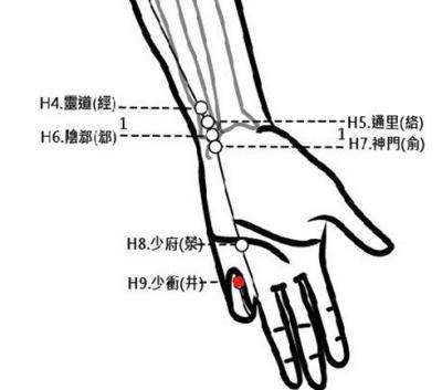 穴位保健─少衝穴（胸悶氣喘脇肋疼）