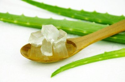 增強免疫力、對抗感冒病毒的神奇草藥_圖5