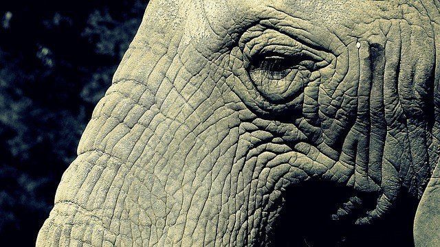 逆齡童顏美肌，9項天然抗皺撇步大公開_圖4